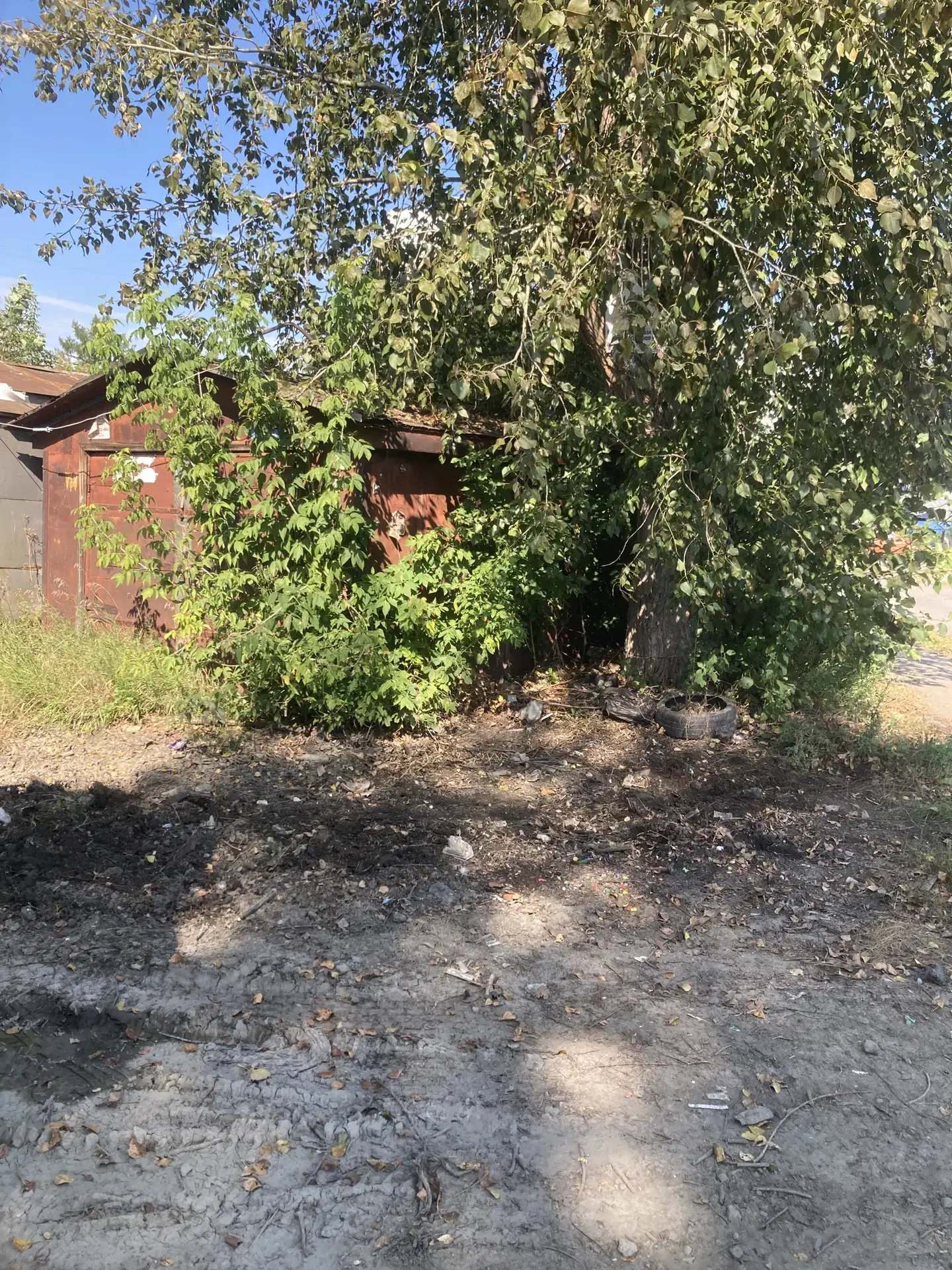 В Арамильском городском округе вывезены древесно-растительные отходы с контейнерных пло...