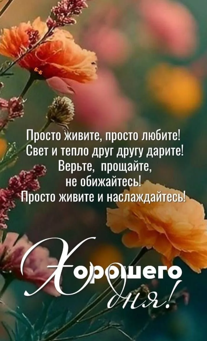 Открытки для улыбки 💌  Подписаться