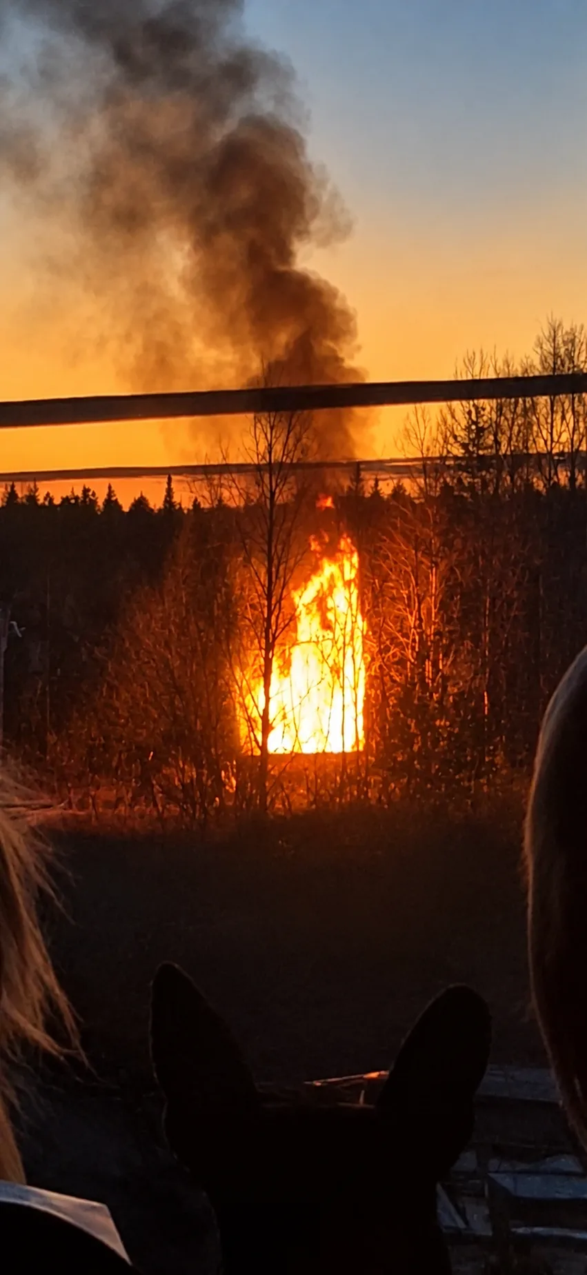 🔥 В посёлке Дальний полыхает заброшенный сарай