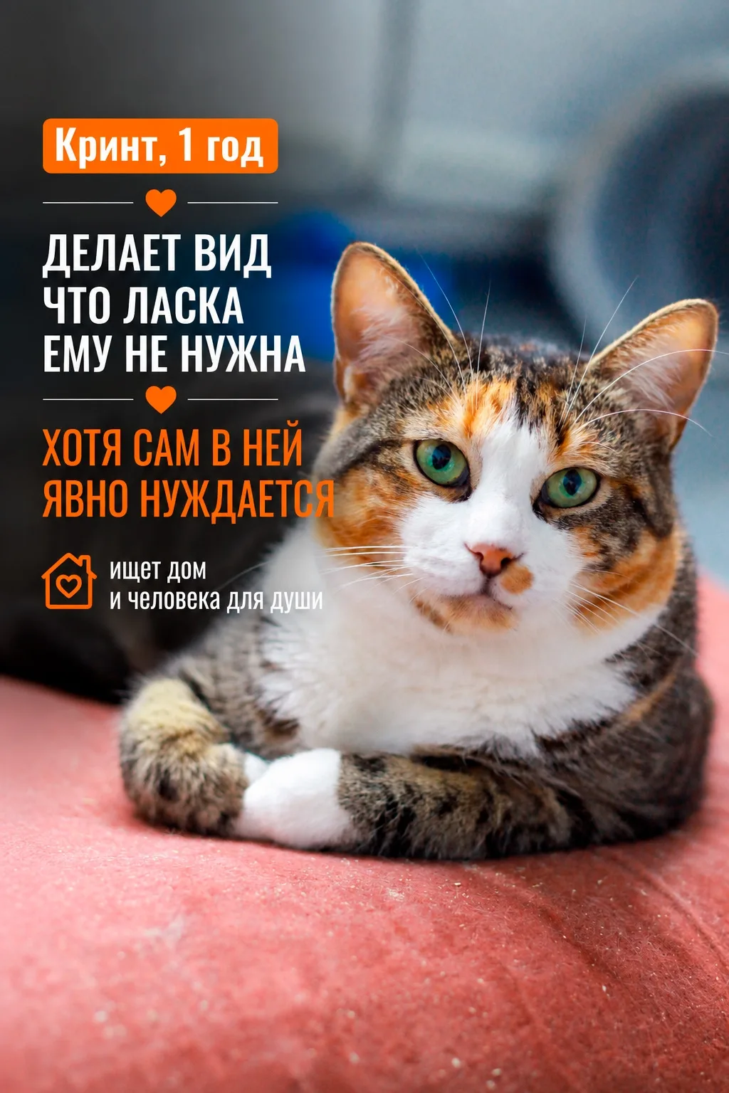 Кринт — тот ещё хитрюга!
