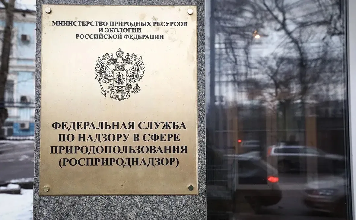 Система «Хомяк»: контроль за импортёрами ужесточается