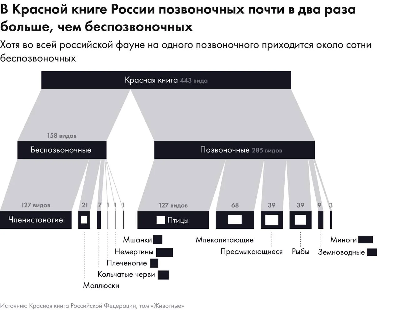 Красная книга России — юридический инструмент, запрещающий добычу редких видов. Под охр...