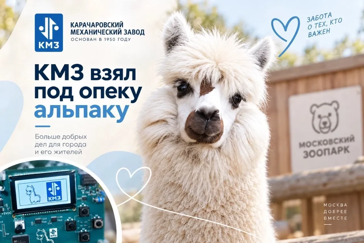 😲 А вы знали, что в московских лифтах живут альпаки?