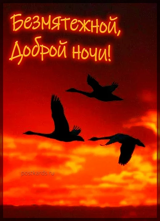 Добрых снов!