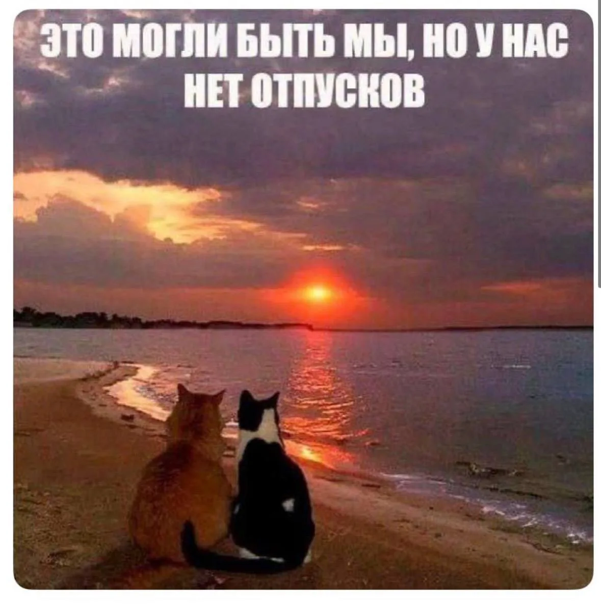 @office_story