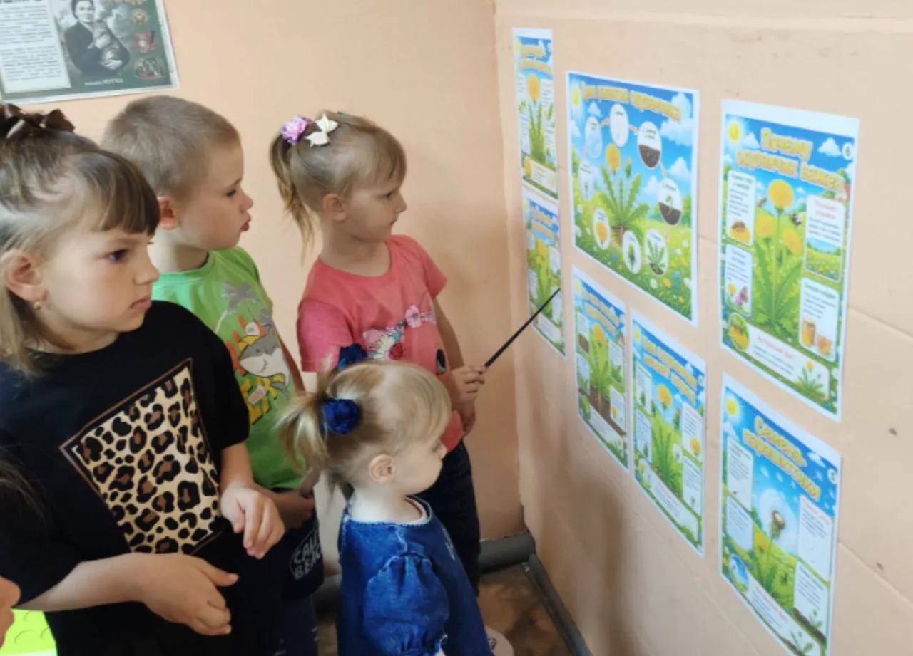 "День одуванчика"