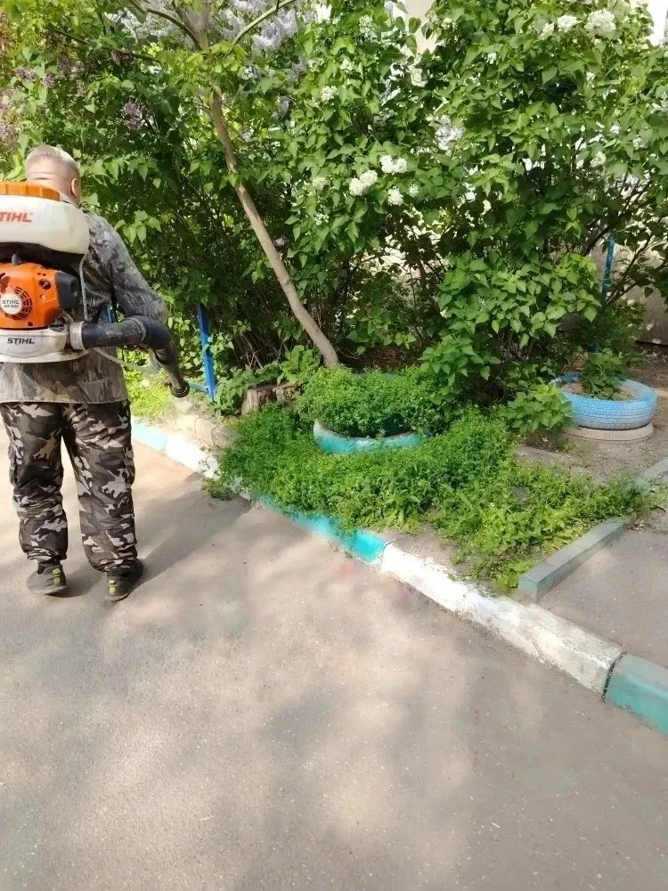 К новости «🛡️ Двойной эффект: порядок и чистота во дворе!»