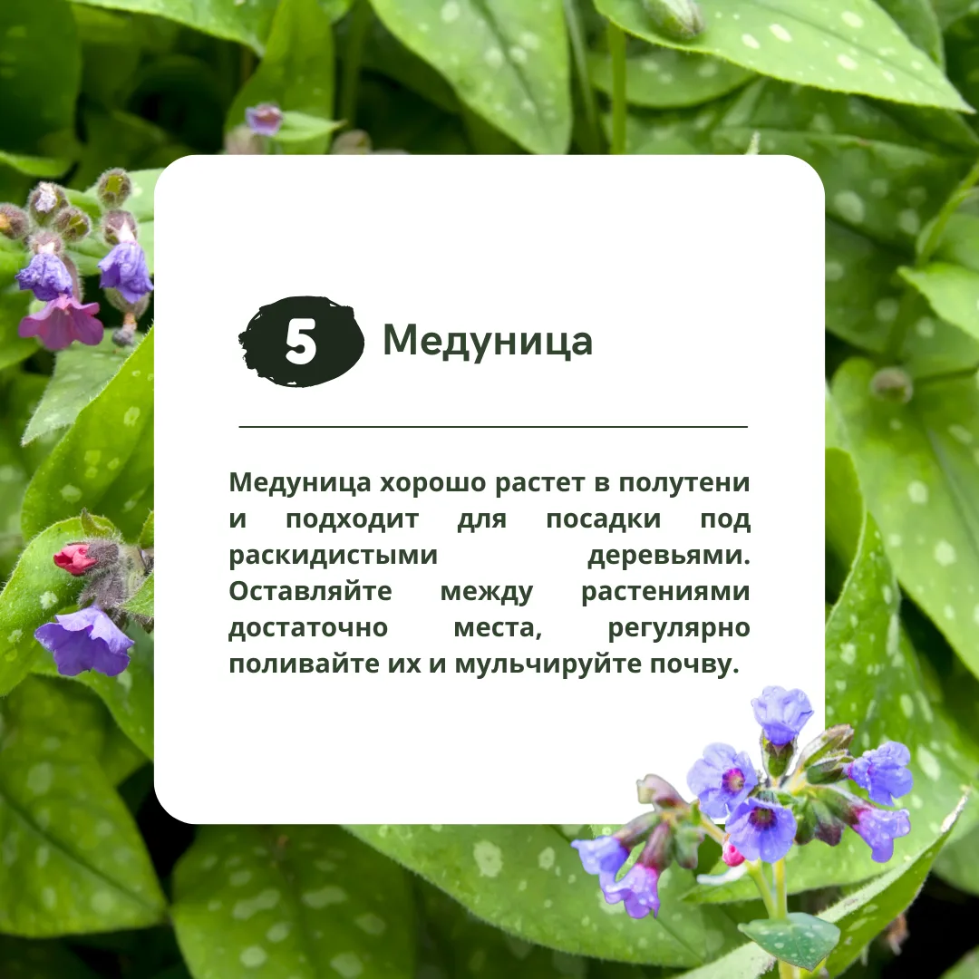 Изображение 6 к публикации «Идеи Вашего Дома»