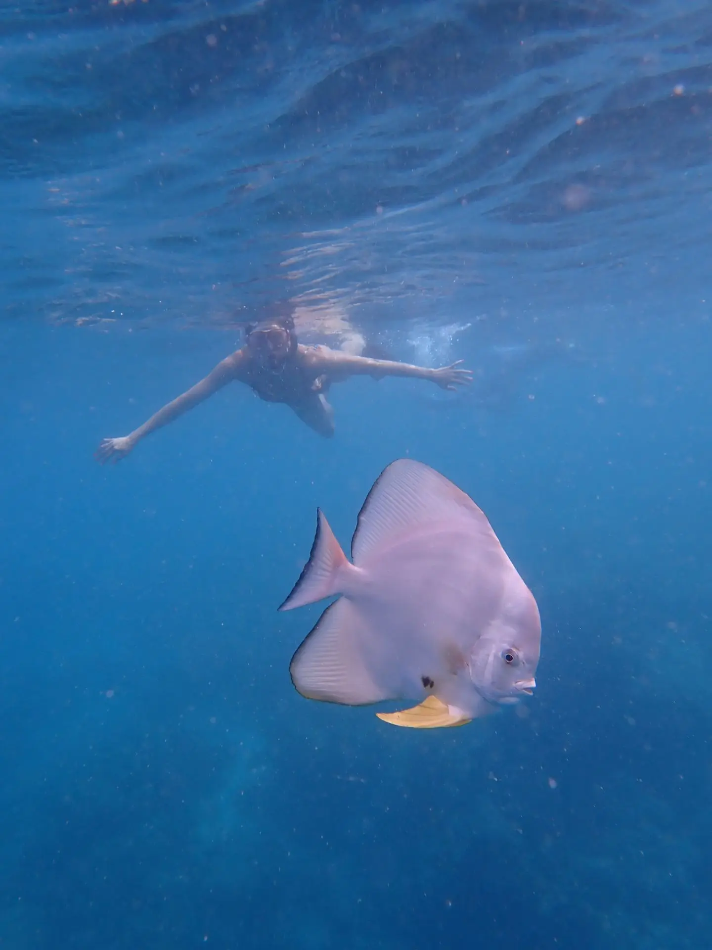 Всем прекрасного доброго утра!!❤️🥂
