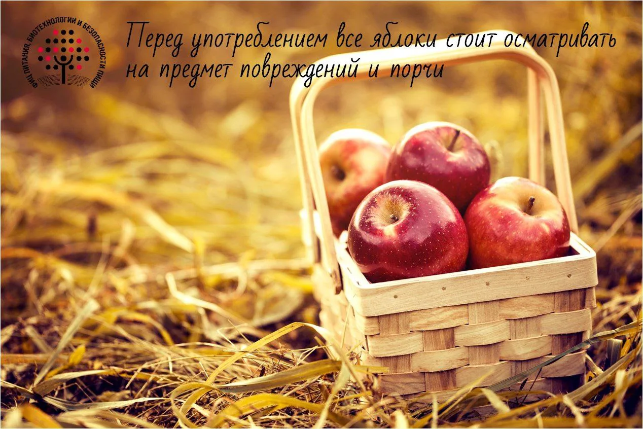 🍃Осень - пора яблочного урожая. Спелые и вкусные яблоки часто падают с дерева. Чем мог...