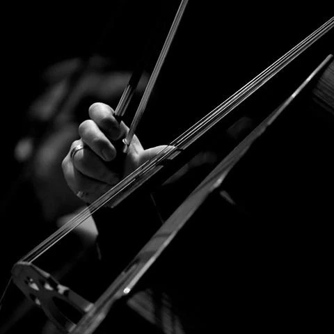 🎶 В Тимирязевском районе состоится концерт камерной музыки