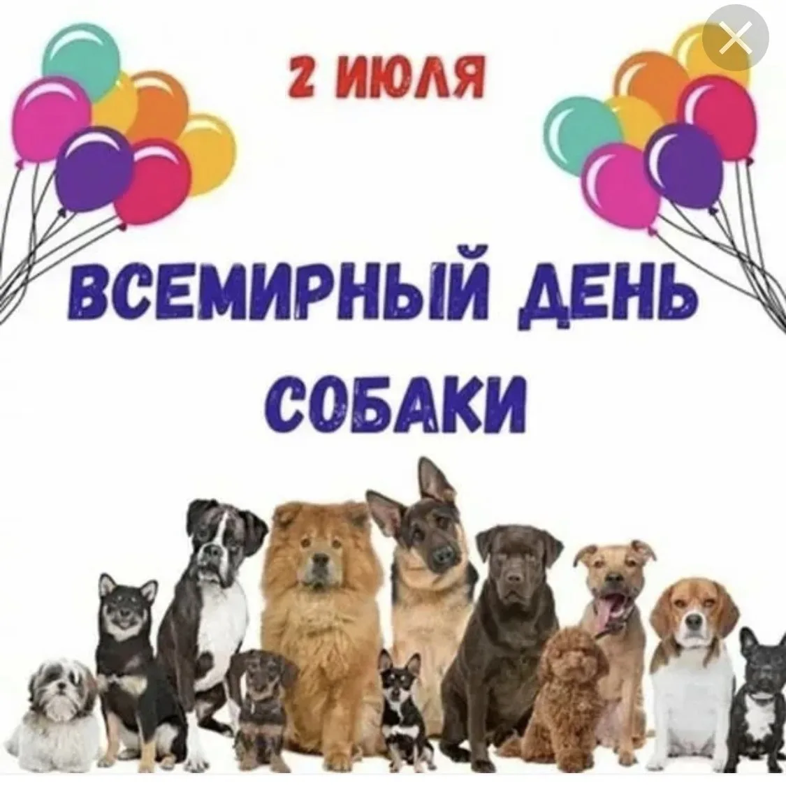 🐕 День собак в подготовительной к школе группе прошёл на ура!