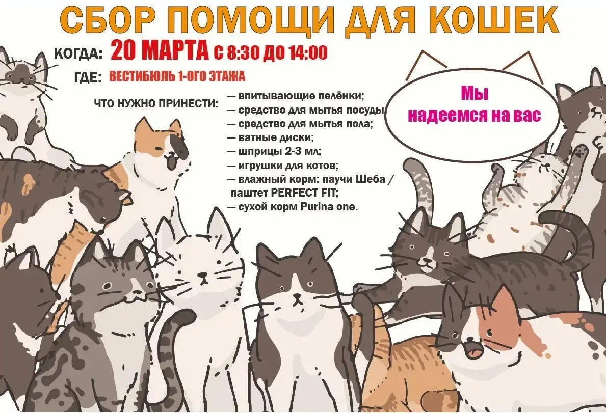 Дорогие друзья, присоединяемся к акции помощи приюту для кошек «Островок». Что нужно сд...