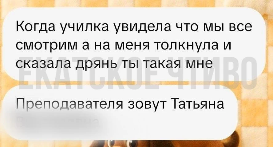 Двойка за таракана: в Екатеринбурге школьники пожаловались на угрозы учителей