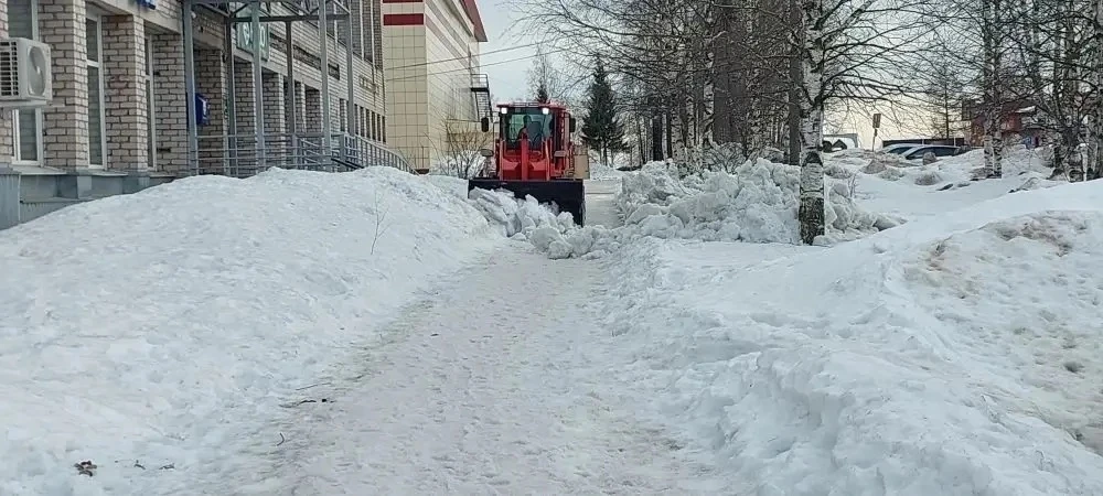 Друзья, погода в очередной раз испытывает нас на прочность. После февральских снегопадо...