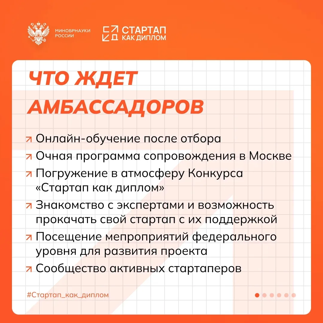 Старт приема заявок на Программу амбассадоров «Стартап как диплом»  🔥Если ты уже развиваешь свой про