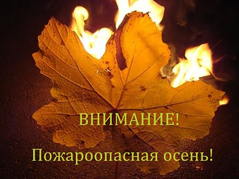 🍂 🍁  Радуемся осенним теплым денькам