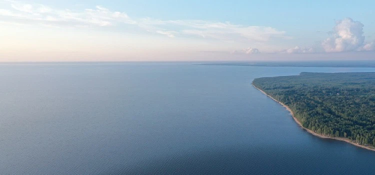 🐟 Почти половина рыб в Волге оказалась «чужаками»

Институт биологии внутренних вод РАН подвёл итог