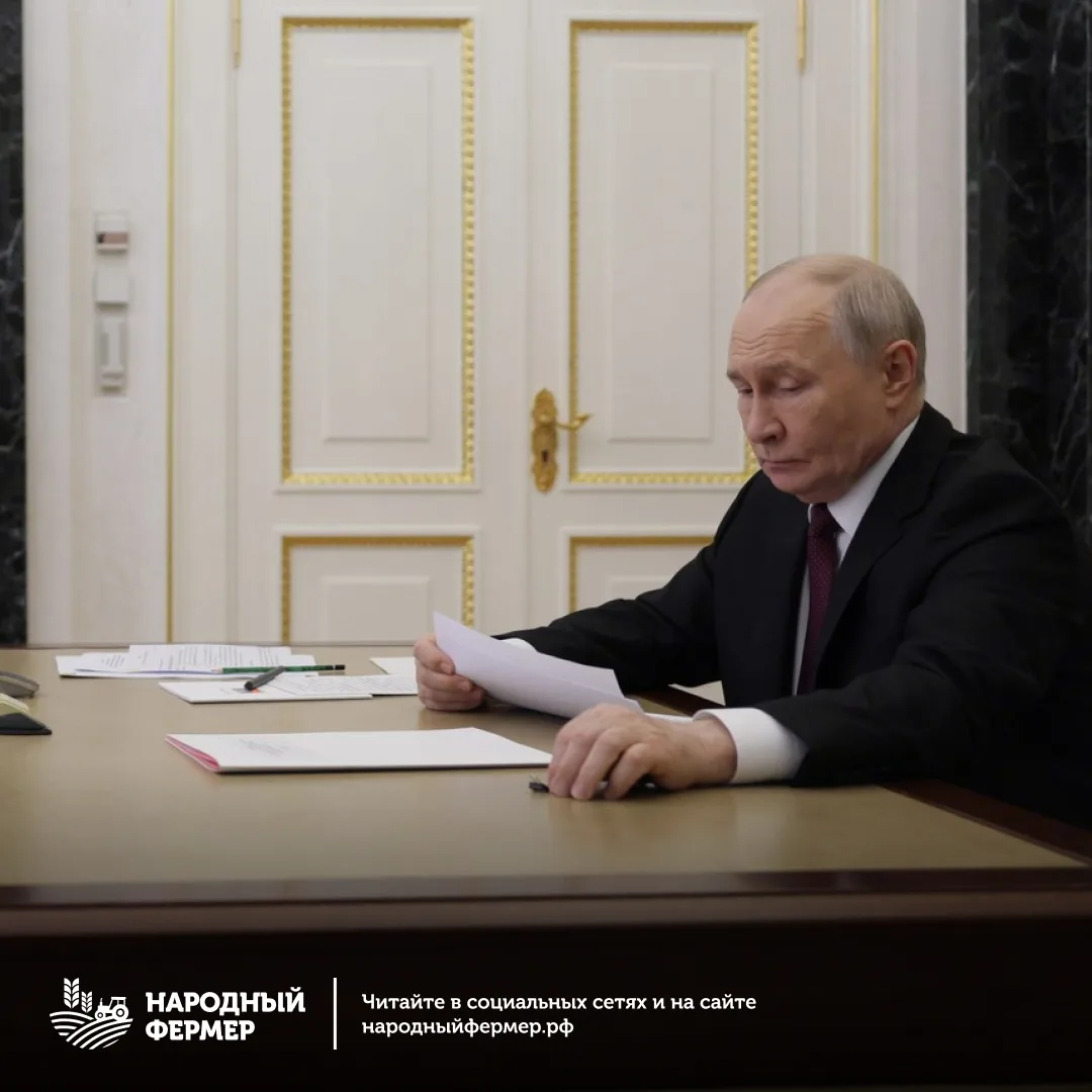 ⚡️ Президент России одобрил нештрафуемый период для грузоперевозчиков до 1 марта 2027 года