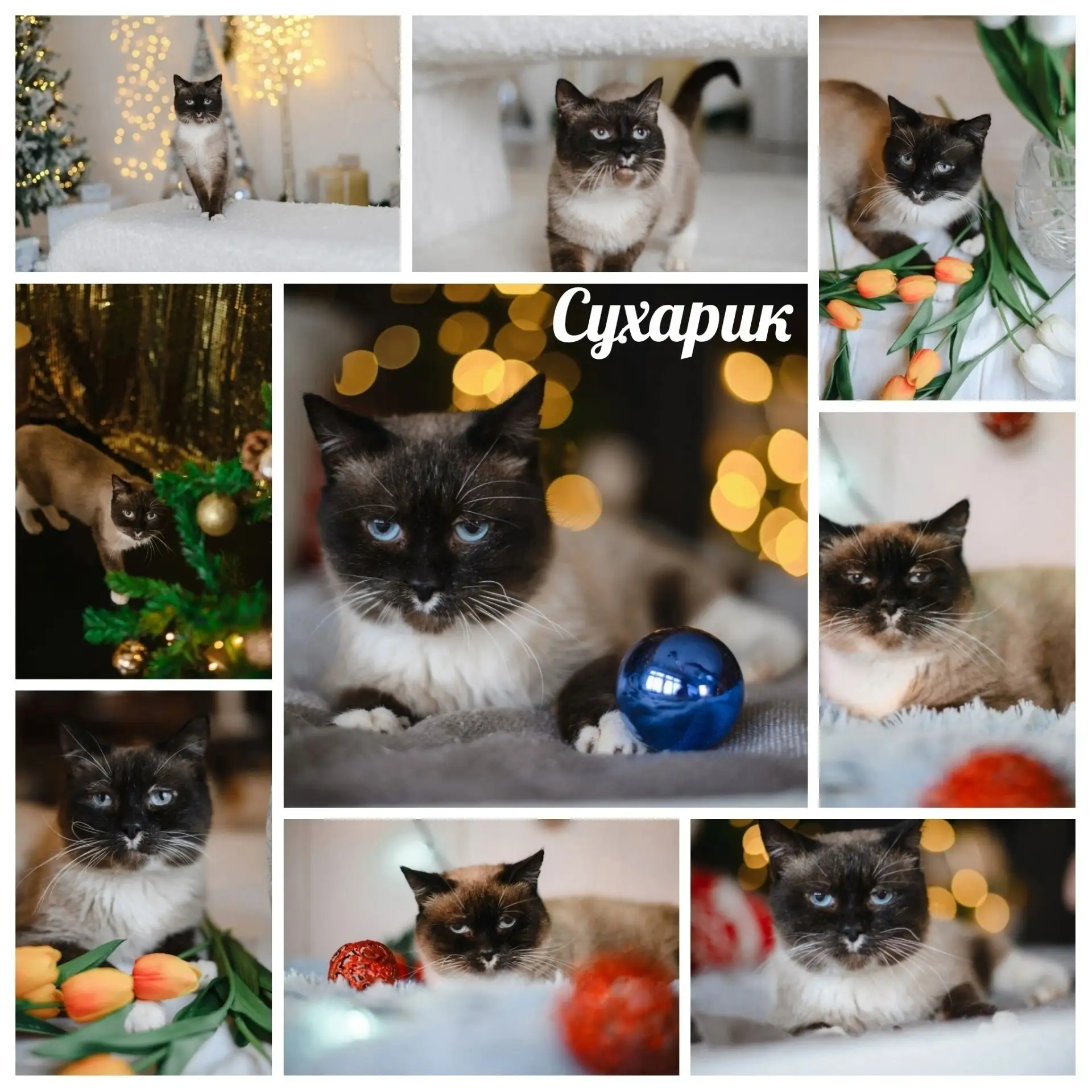 vk.com/album51035725_305205626