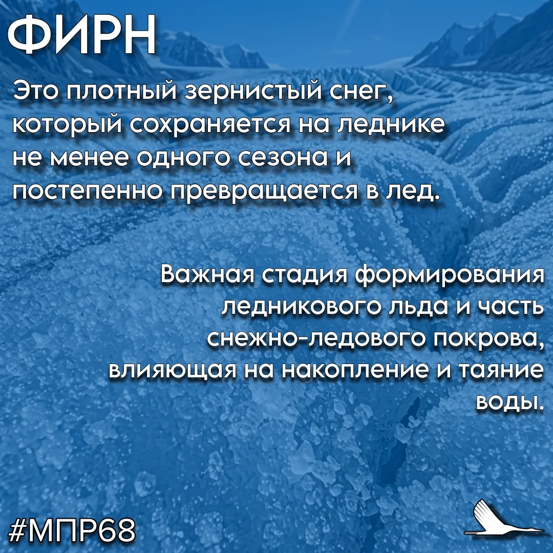 #СловарьЭколога  #ТамбовскаяОбласть #МПР68 #Экология68