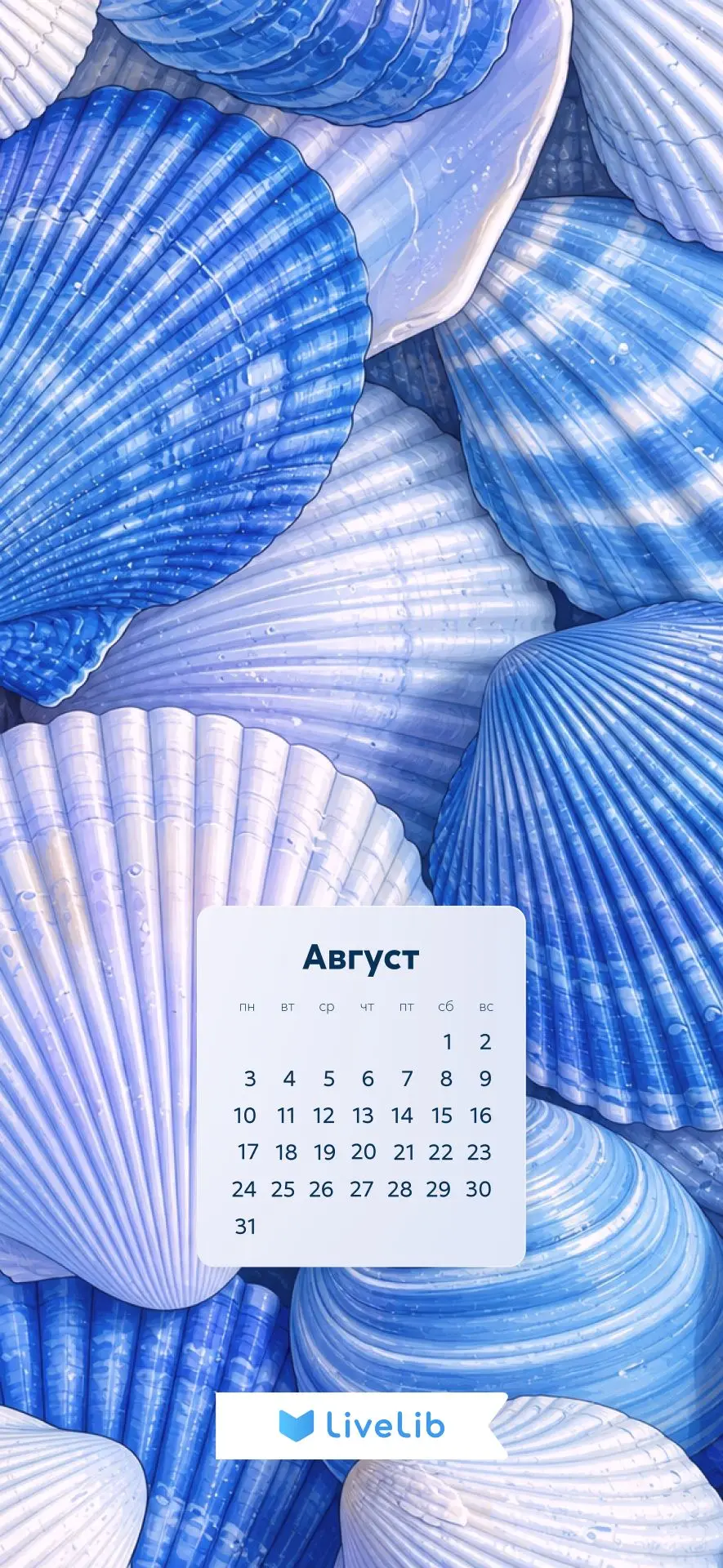 Август — астры,