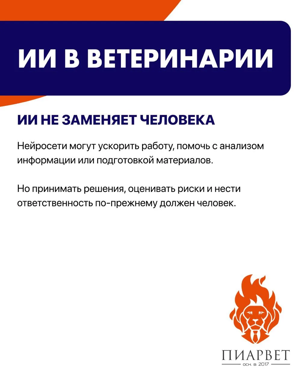 🤖 ИИ в ветеринарии: где он помогает, а где может создать серьёзные проблемы