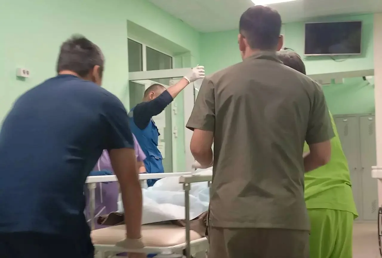В Закаменском районе мужчину прооперируют после нападения медведя.