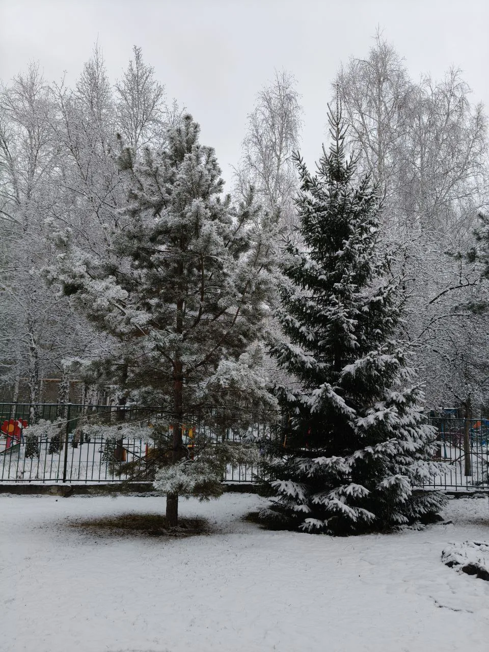 ❄️️Снежок превратил наш  детский сад в зимнюю сказку 🌟 Ели и сосны нарядились в  белые...