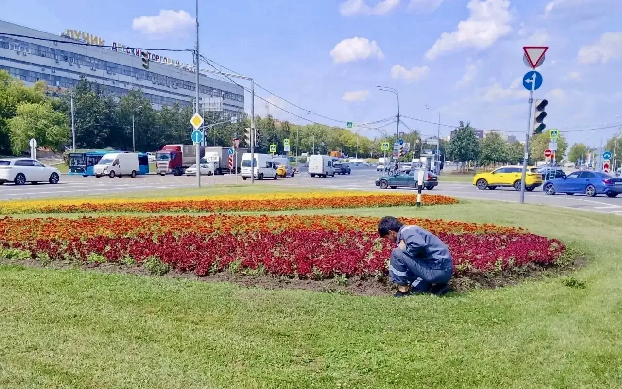 Уважаемые жители района Отрадное!

🌸 Красота района начинается с ежедневной заботы!

Каждый день со