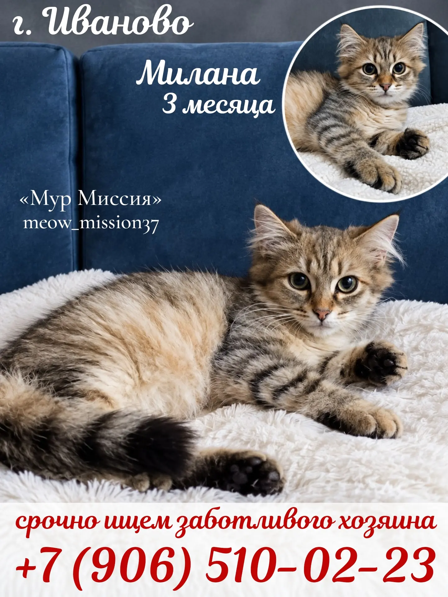 Милана ищет свой дом! 🏡