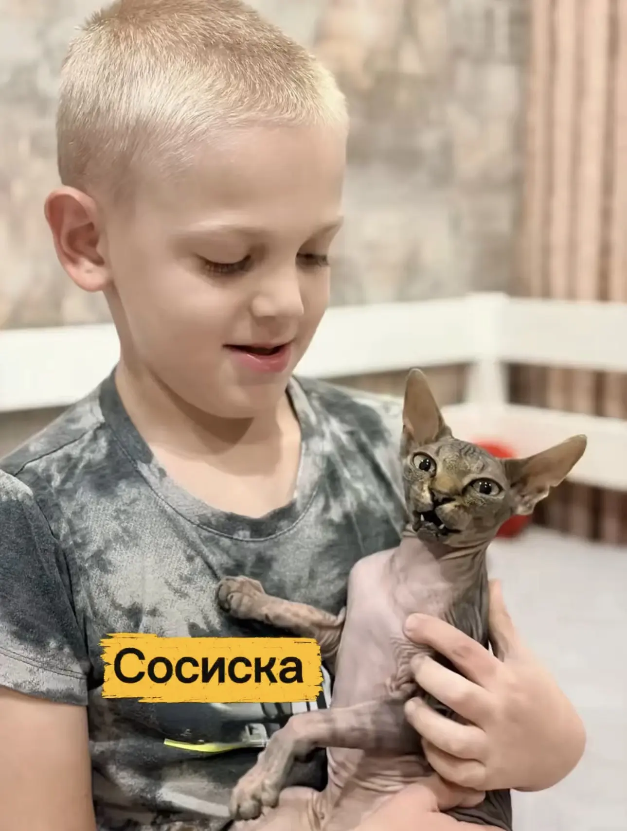 🐾 Всемирный день защиты животных