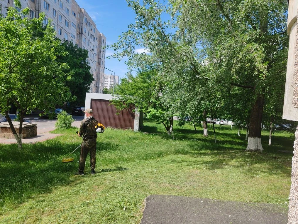 Ежегодно летом одним из основных мероприятий для управляющих компаний является покос тр...