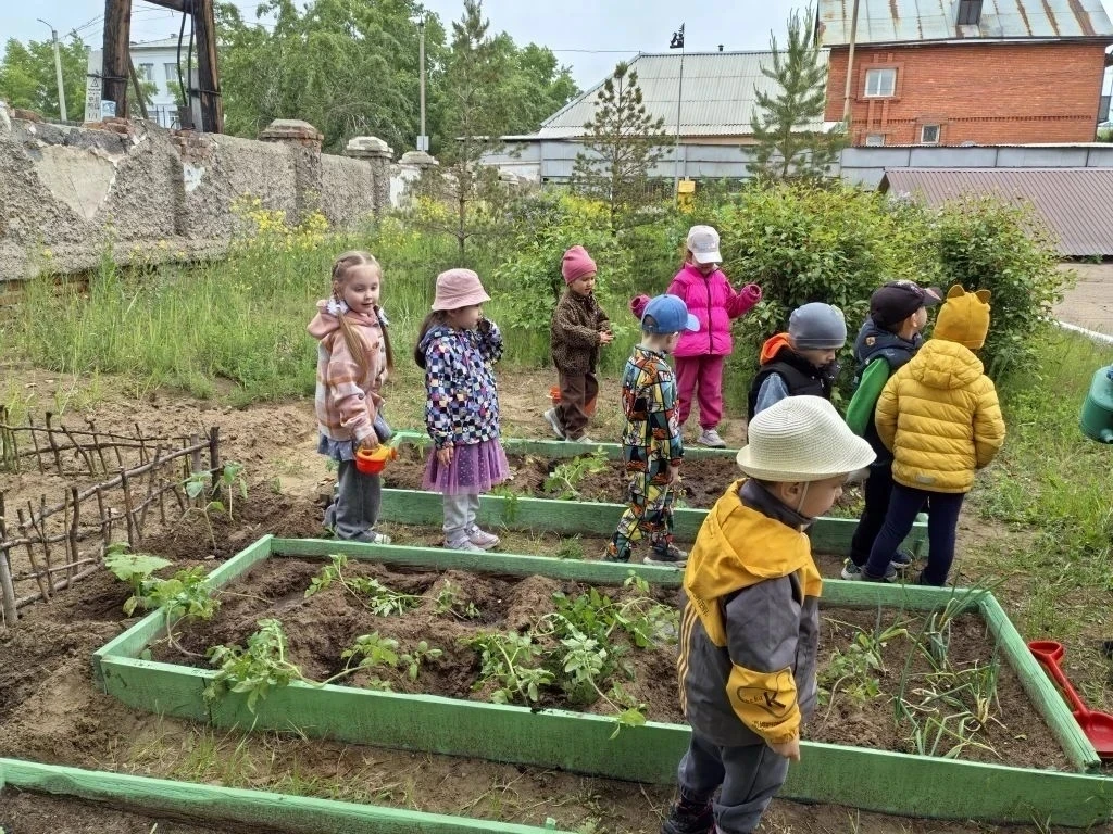 ☀️Юные огородники 2 го корпуса сегодня высадили рассаду томатов. 
✨Следуя советам опытного воспитате