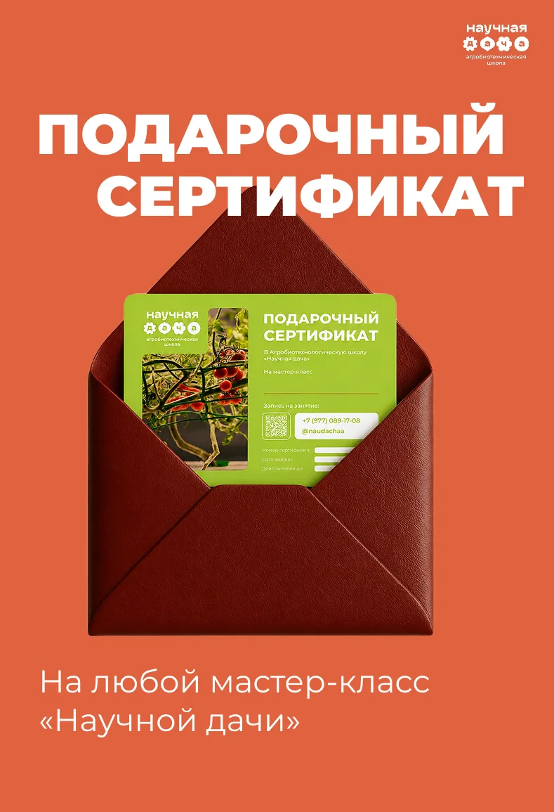Мы нашли идеальный подарок к новому учебному году!🎁