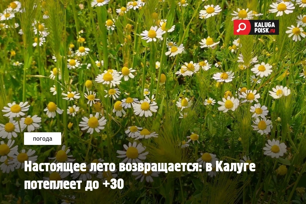 Настоящее лето возвращается: в Калуге потеплеет до +30