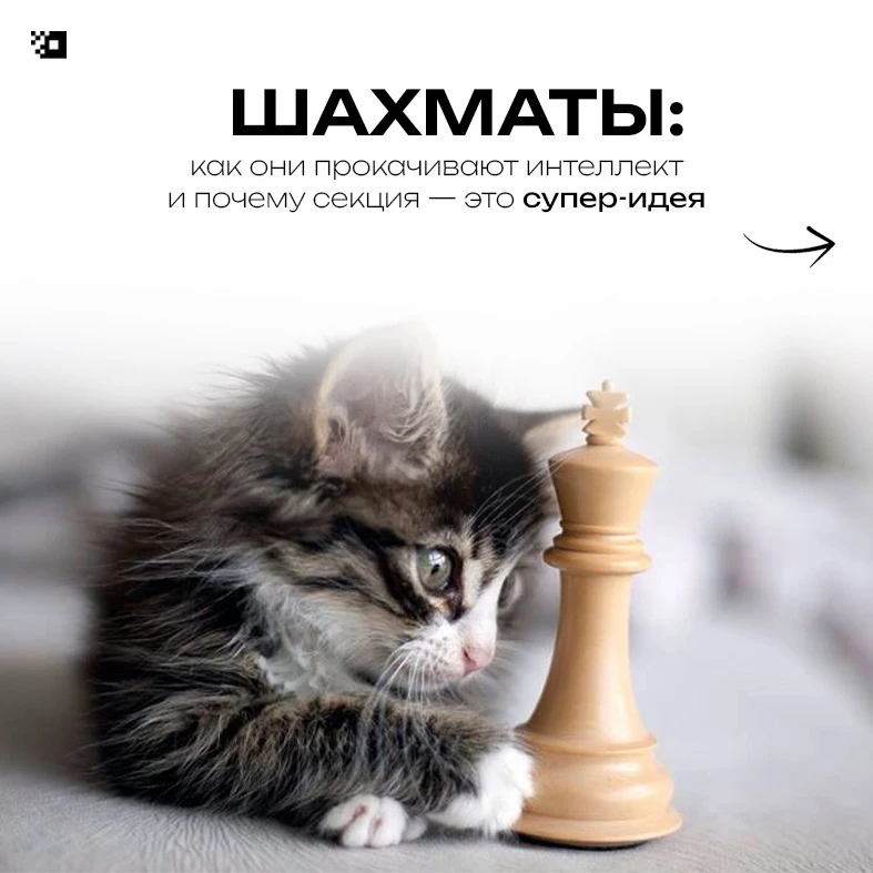 Шахматы — это тренажёр мышления ♟️
