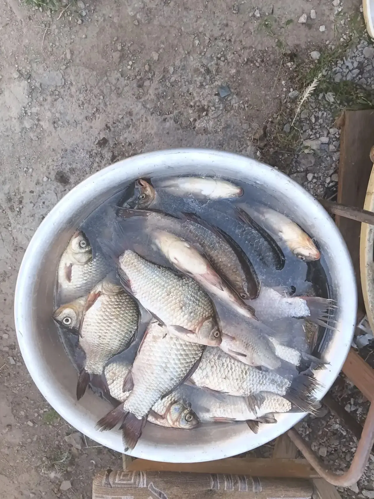 Река Кирпили , Тимашевск , работал опарик красный 👍 прикормка клубника 🐠