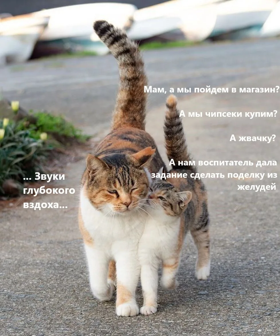 🤣 кто узнал себя?)))