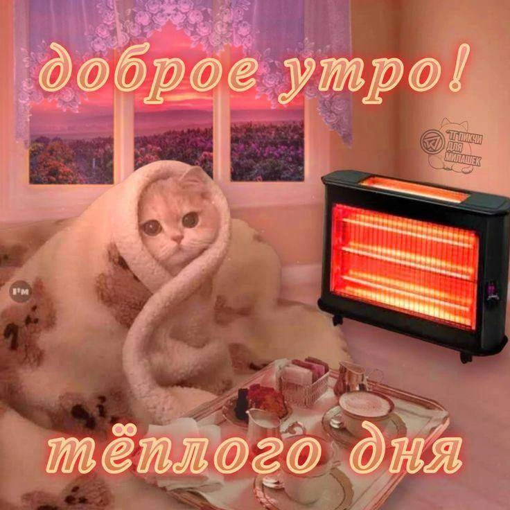 Доброе утро, Курган!