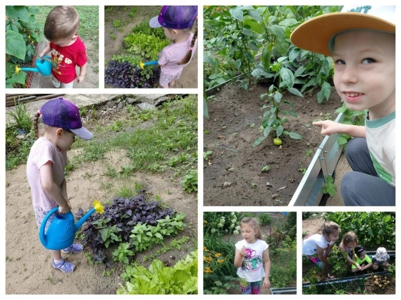🥔🌻🍆Огород наш маленький, но зато удаленький!

С чего начинается трудолюбие? С маленького семечка,