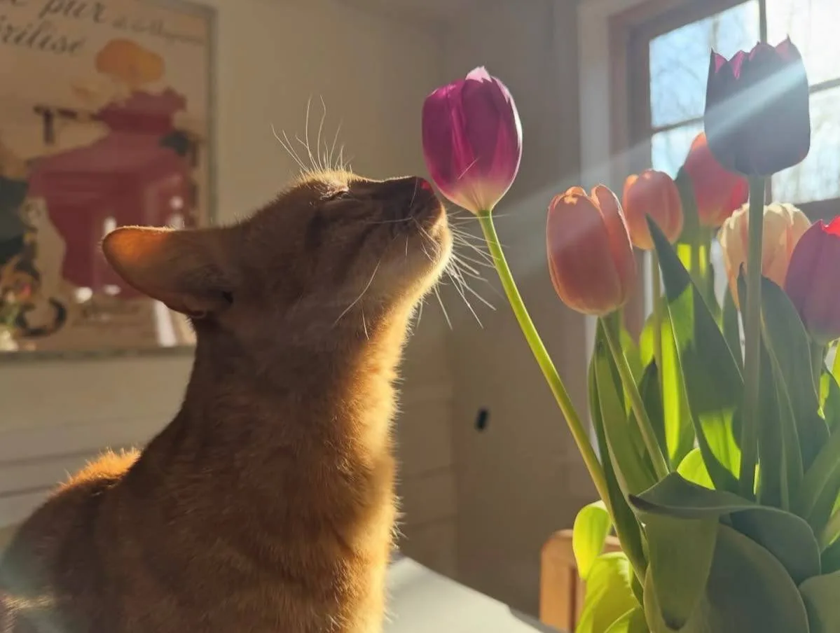 🌤 Доброе утро!