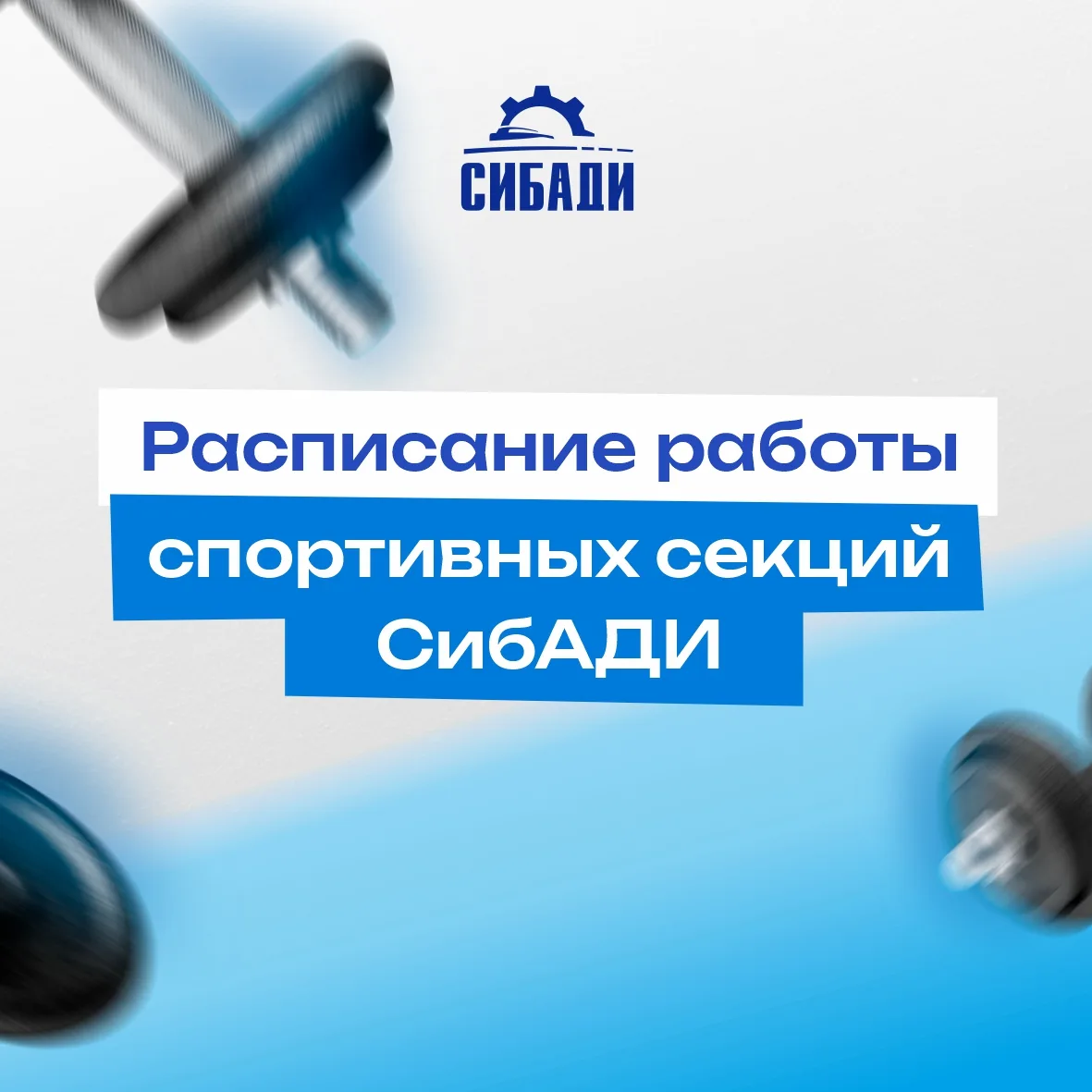 Расписание спортивных секций СибАДИ на 2026/2027 учебный год