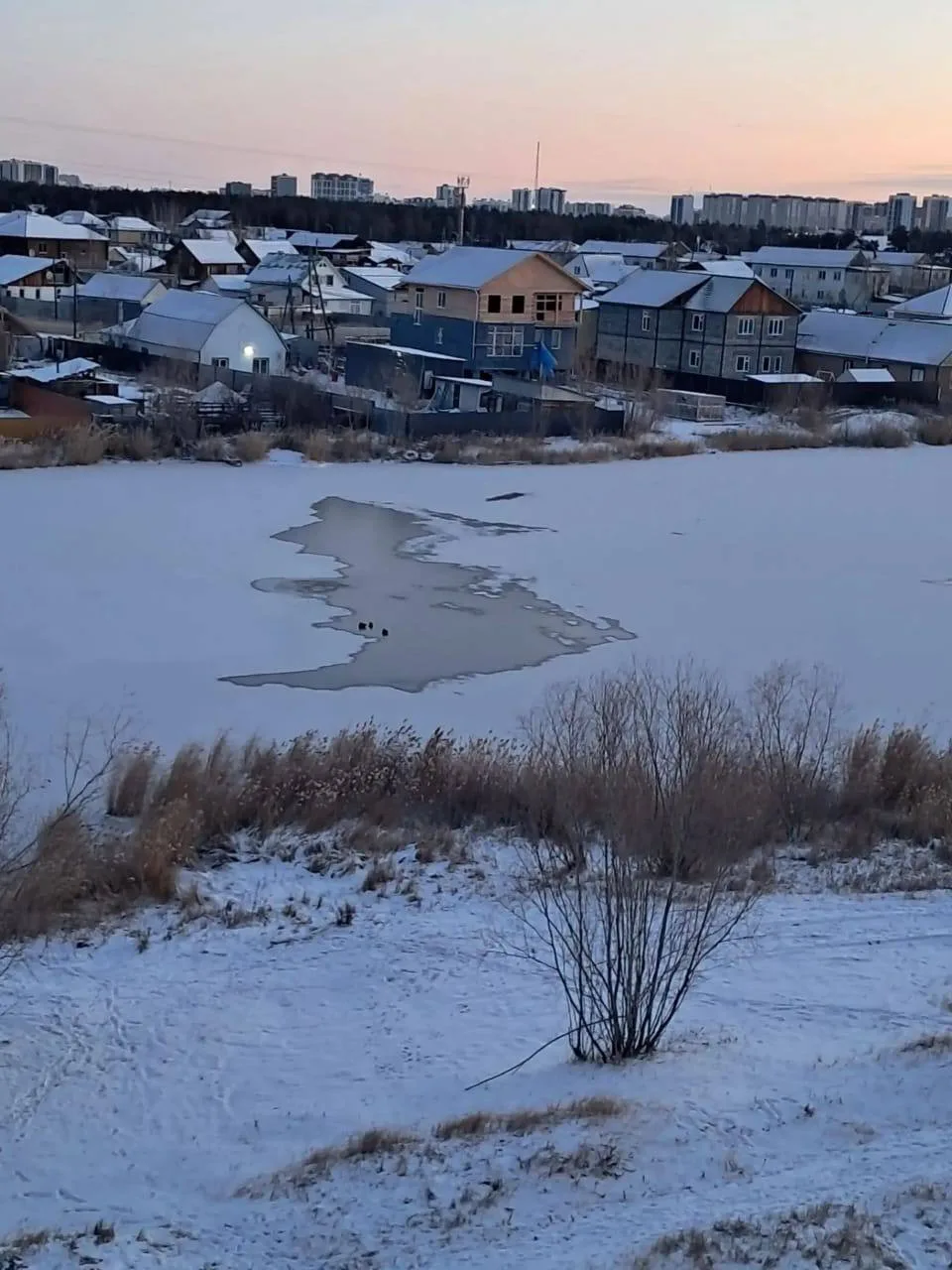 За ночь поверхность воды в озере еще сильнее затянулась льдом. Осталась вот такая небол...