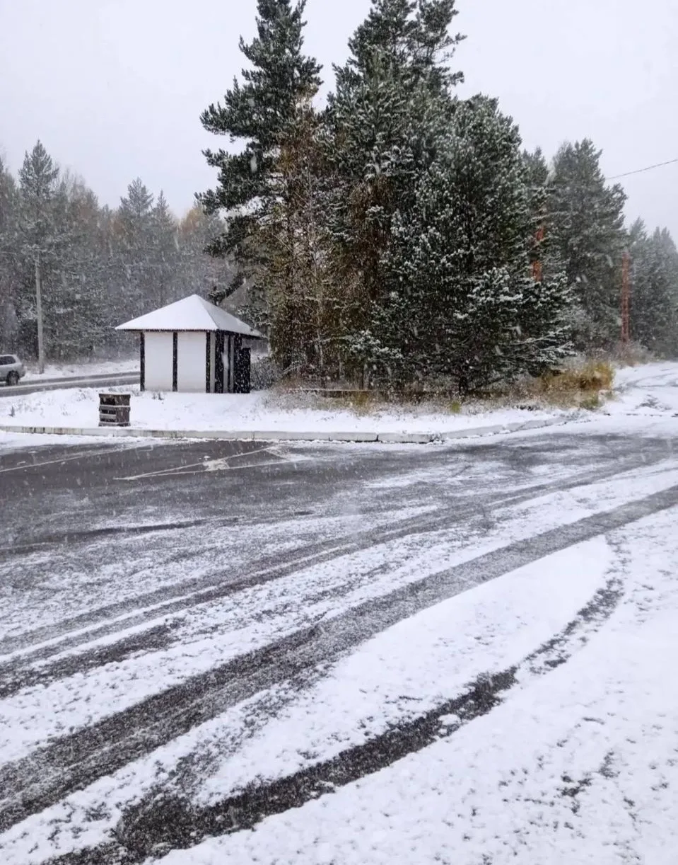 Култукский тракт засыпает снежком ❄️