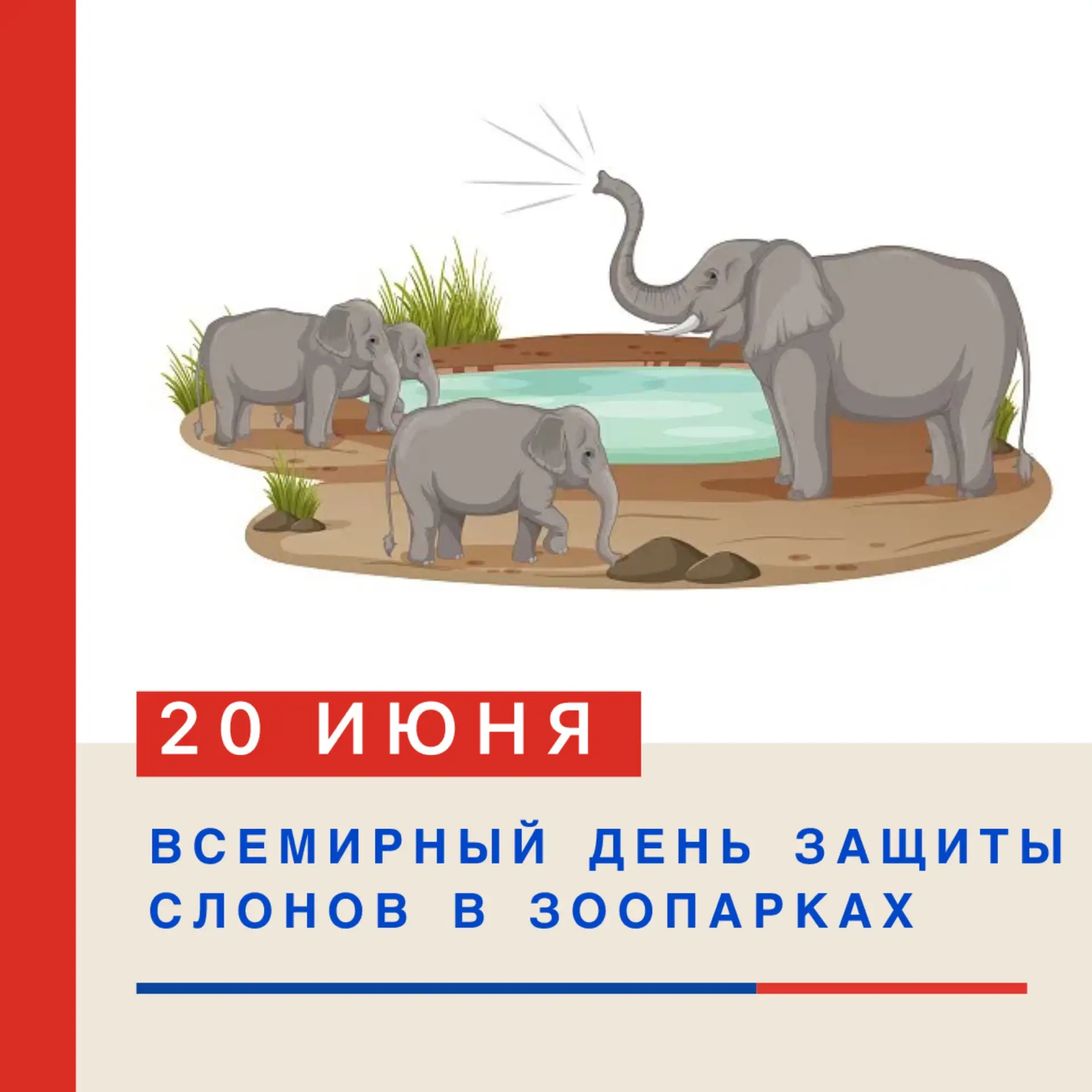 🎉 ВСЕМИРНЫЙ ДЕНЬ ЗАЩИТЫ СЛОНОВ В ЗООПАРКАХ — 20 ИЮНЯ! 🎉🐘

20 июня отмечается Всемирный день защит