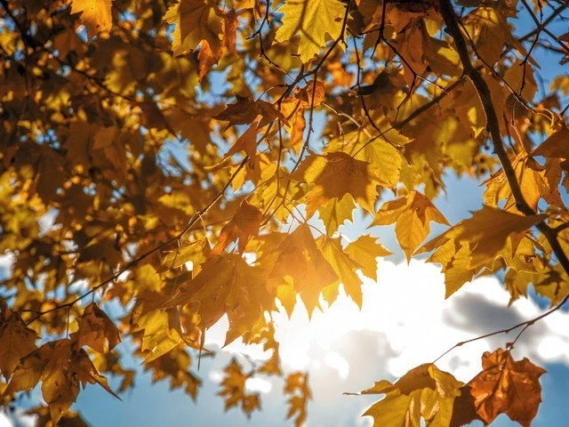 🍂 Доброе утро!