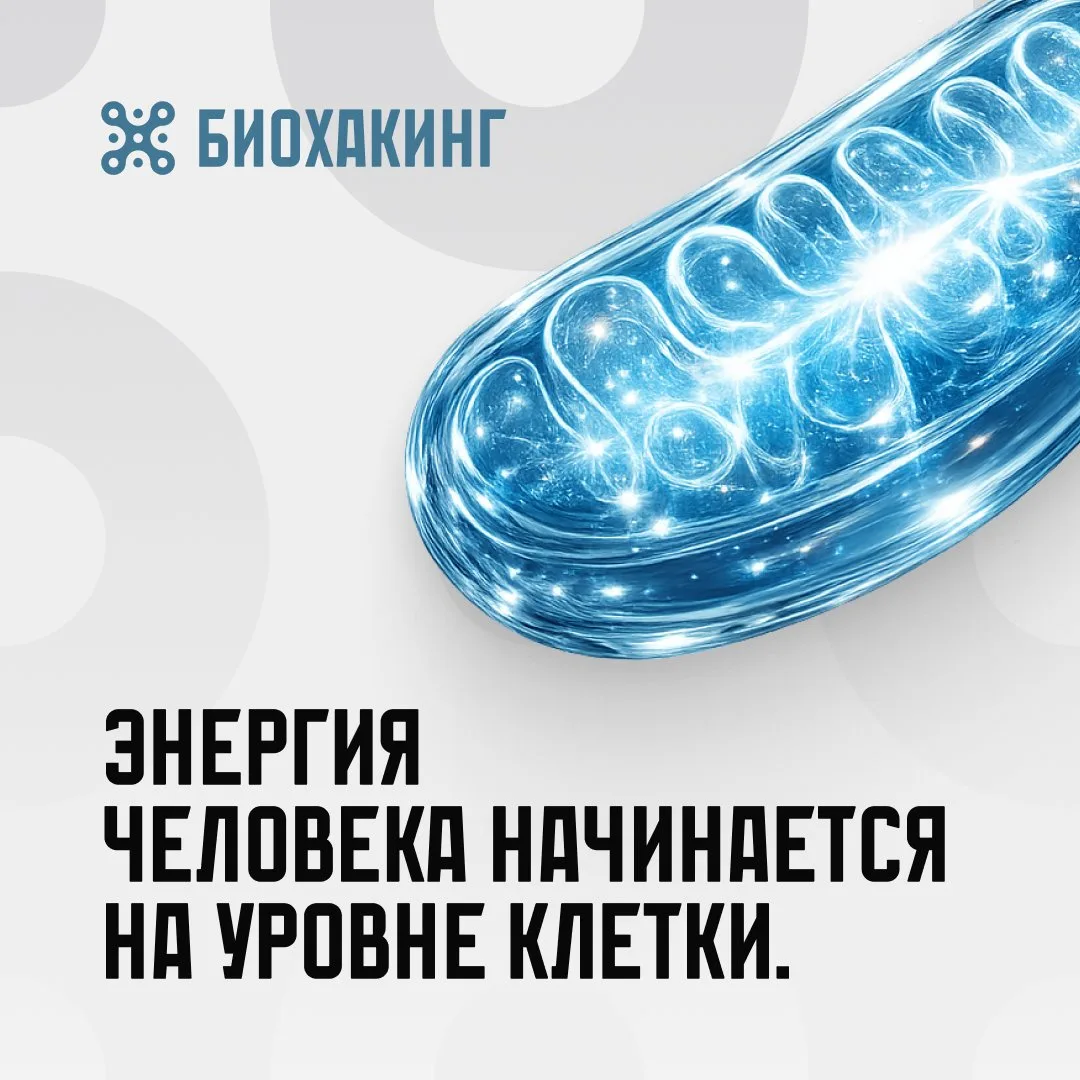 Уровень энергии человека определяется не мотивацией.

Он определяется митохондриями.

Это микроскопи