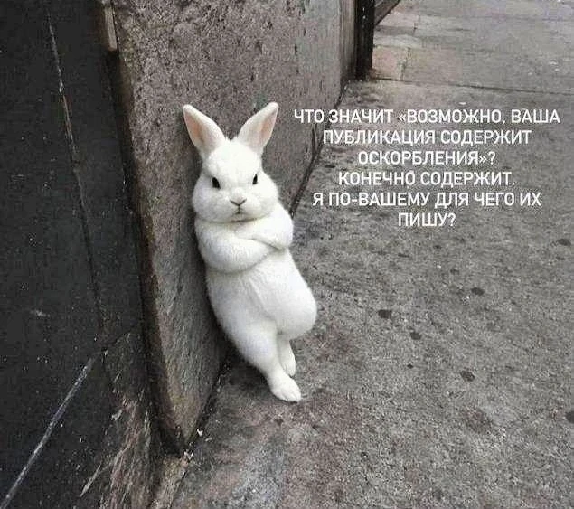 Извинений не ждите.