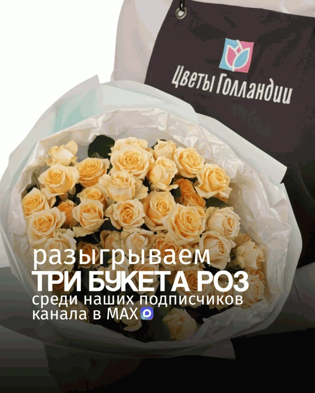 Дорогие друзья! 💐